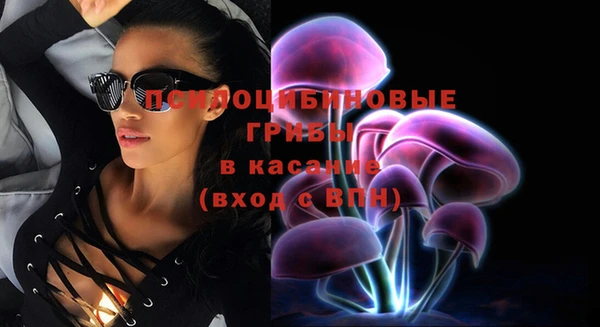 mix Бородино
