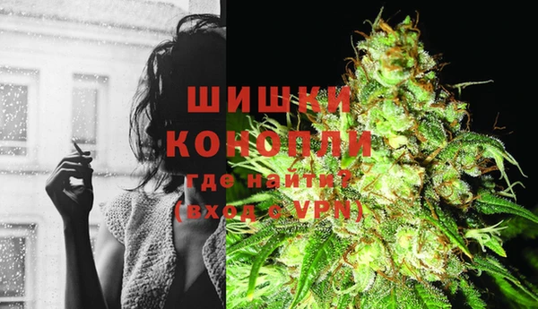 mix Бородино